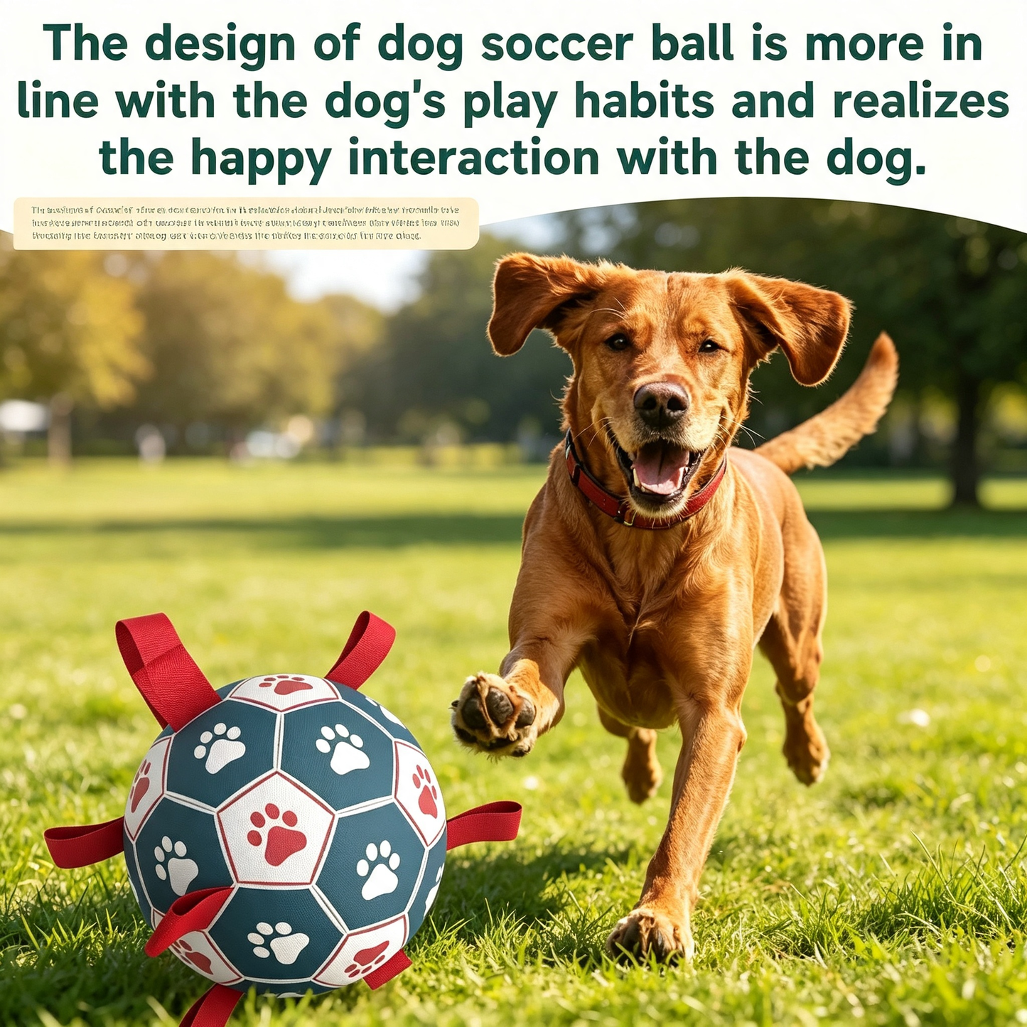 Dog Soccer Ball Toy with Webbing Tabs, Interactive Floating Fetch Toy for Medium Large Dogs